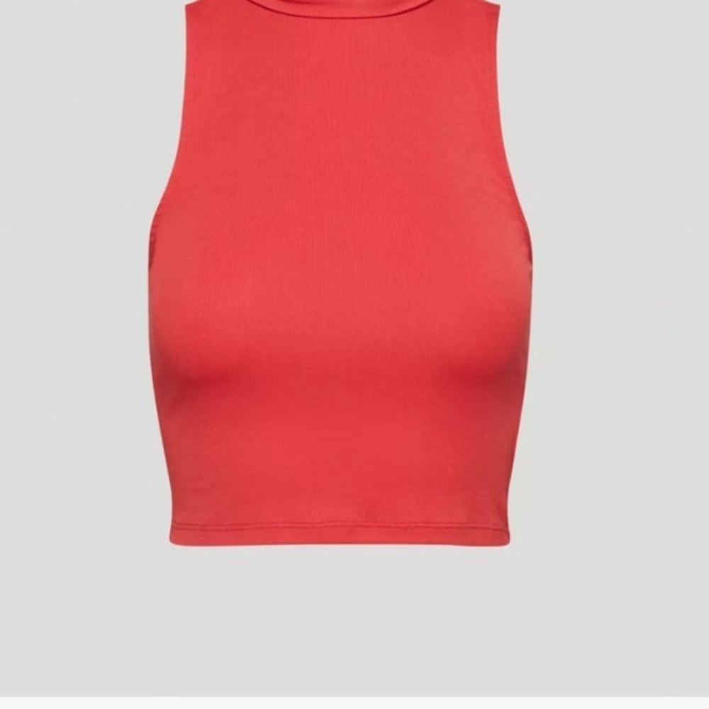Aritzia/Sunday Best/ FRESHMAN SLEEVELESS TURTLENECK⭐️Host Pick